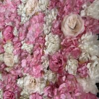 2025 Blende8 Blumenwand Modell Rosa Nahaufnahme